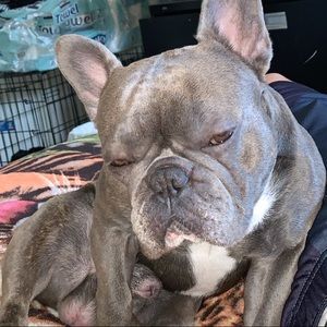 Meet your Posher, Jesus